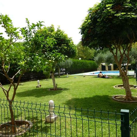 Milenium Palace - Garaje Incluido - Piscina-Fibes 塞维利亚 外观 照片